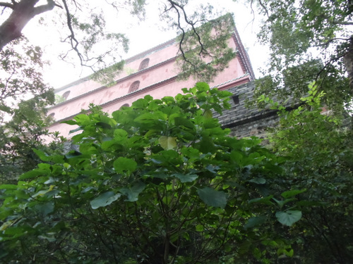 The Guangzhou Tower.